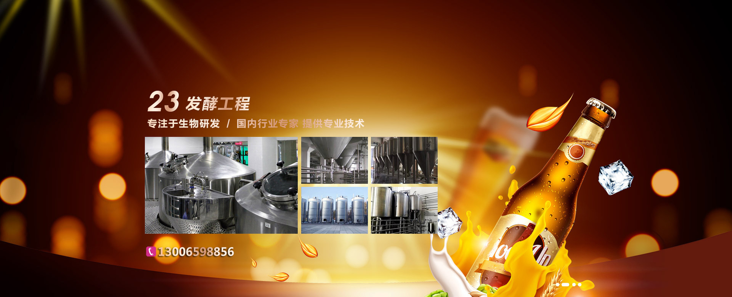 quality Craft Beer Brewing Equipment factory