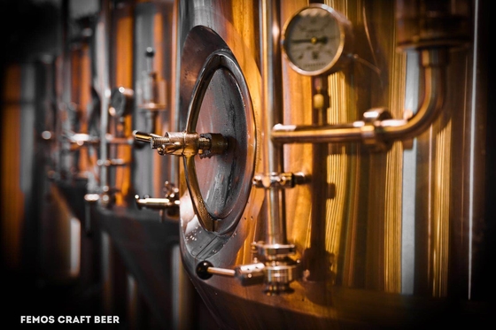MicroCraft Beer Brewing Equipment
