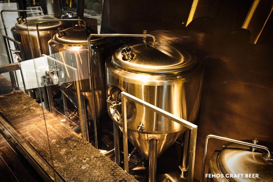 SS304 / SS316l Microbrewery Brewing Equipment Small Beer Brewing Systems