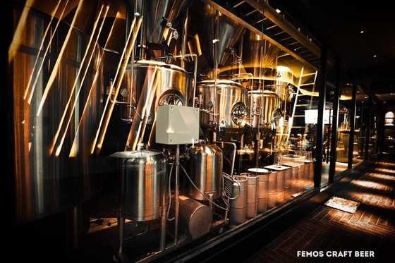 SS304 / SS316l Microbrewery Brewing Equipment Small Beer Brewing Systems