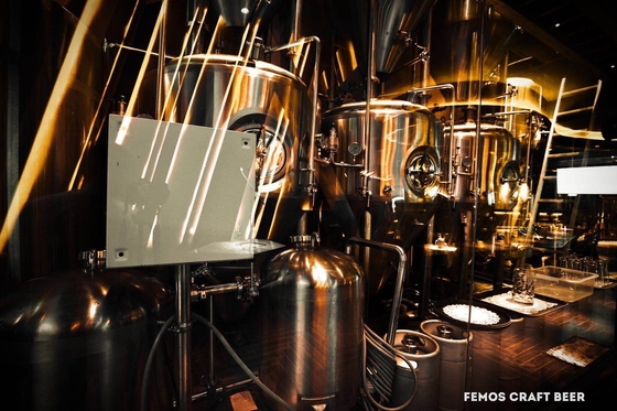 SS304 / SS316l Microbrewery Brewing Equipment Small Beer Brewing Systems