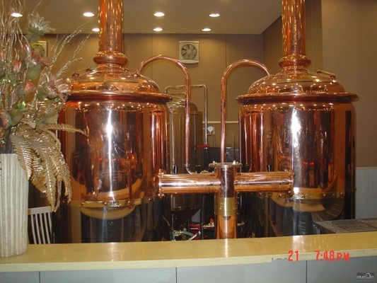 500L Mini Micro Brewery Equipment Turnkey Brewing System CE Certification