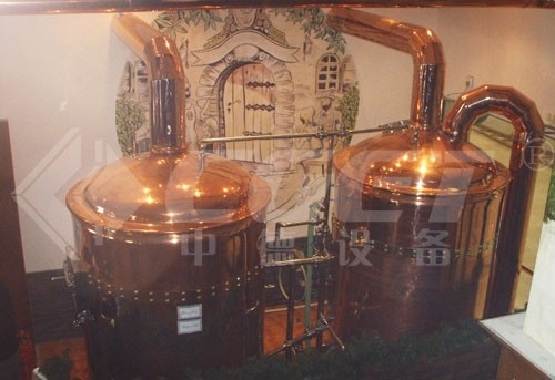 500L Mini Micro Brewery Equipment Turnkey Brewing System CE Certification