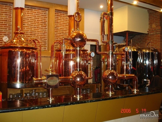 500L Mini Micro Brewery Equipment Turnkey Brewing System CE Certification