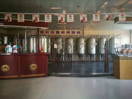Pub Microbrewery Beer Fermentation Equipment Ss Conical Fermenter 220V / 380V