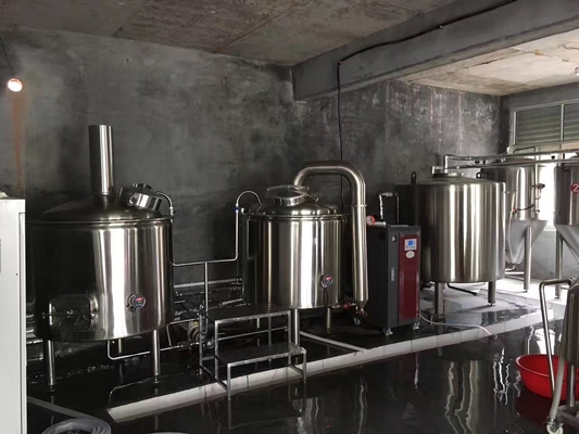 Basic Home Small Scale Beer Brewing Equipment Brewpub Mini Brewery System