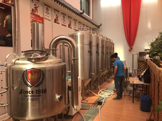 Basic Home Small Scale Beer Brewing Equipment Brewpub Mini Brewery System