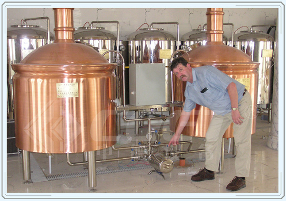 Industrial Fermentation Tank Small Beer Brewery Equipment Red Copper Material