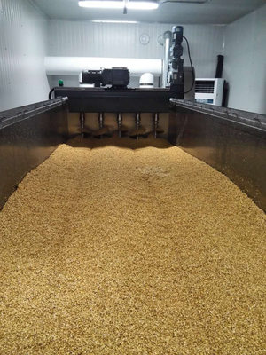 Malting Packing Production Line With Steeping Tank , Germinating Kilning Box