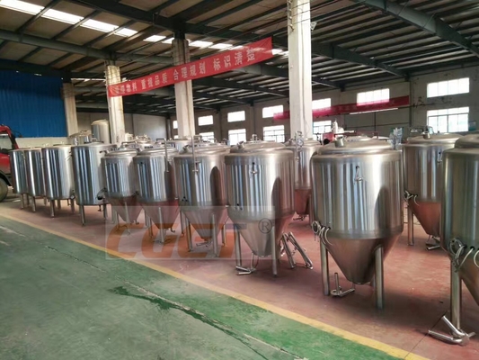 20 Bbl Fermenter Stainless Steel Tank Industrial Beer Brewing Equipment