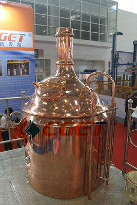 SUS 304 Craft Beer Brewing Equipment 500L Brewing System With ISO CE Certificated for Rusina