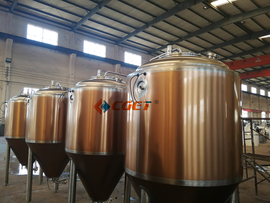 SUS 304 Craft Beer Brewing Equipment 500L Brewing System With ISO CE Certificated for Rusina