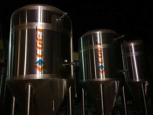 3000L Large Scale Brewing Equipment 304 Sanitary Pumps